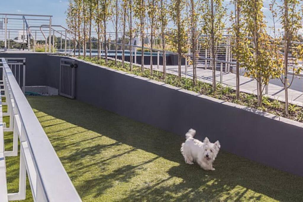 Modern, Chic, Great Location Apartment Washington Exterior foto